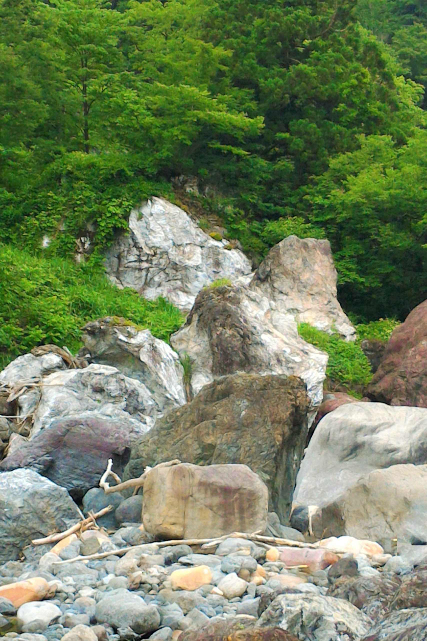 糸魚川翡翠水石